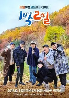 向往的生活 综艺 2025 王征宇